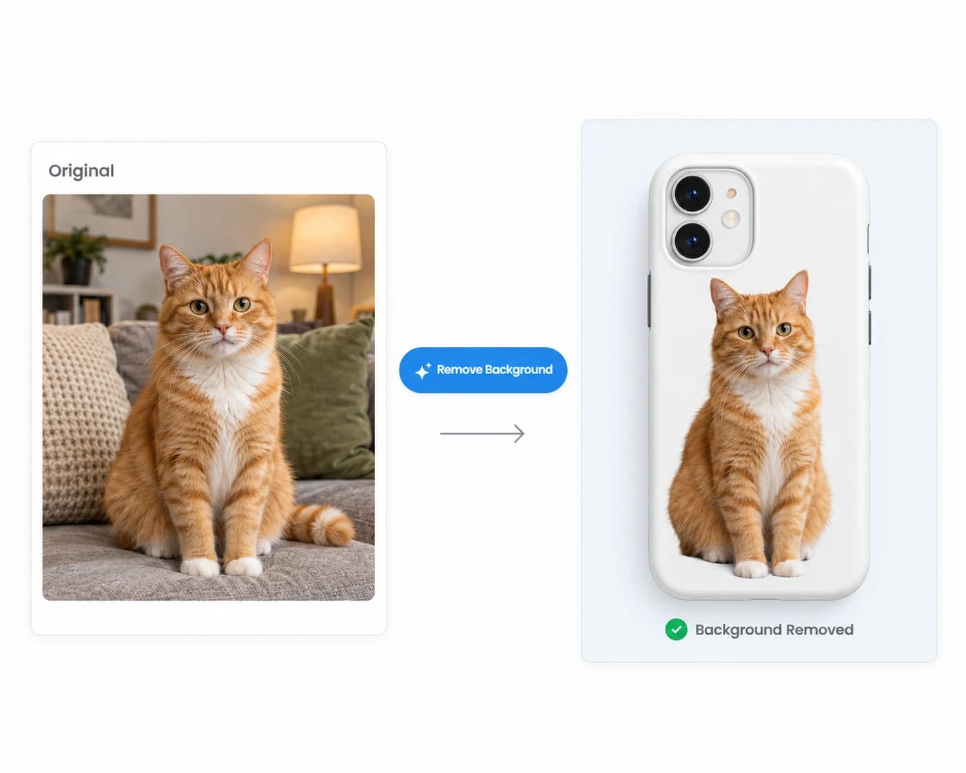 A cat photo with a cluttered background next to a phone case printed with the same cat cut out cleanly